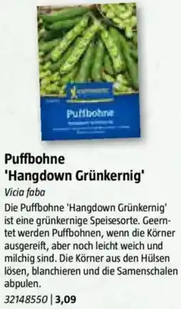 Bauhaus Puffbohne 'Hangdown Grünkernig' Angebot