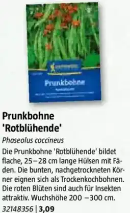 Bauhaus Prunkbohne 'Rotblühende' Angebot