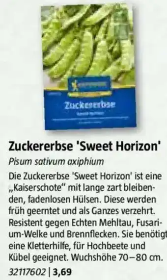Bauhaus Zuckererbse 'Sweet Horizon' Angebot