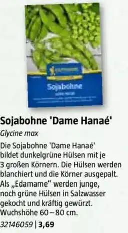 Bauhaus Sojabohne 'Dame Hanaé' Angebot