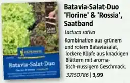 Bauhaus Batavia-Salat-Duo 'Florine' & 'Rossia', Saatband Angebot