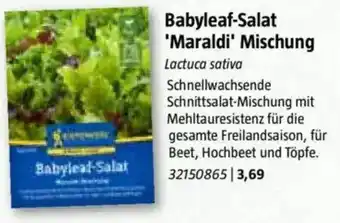 Bauhaus Babyleaf-Salat 'Maraldi' Mischung Angebot