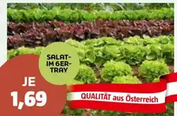 Bauhaus Salat Angebot
