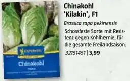 Bauhaus Chinakohl 'Kilakin', F1 Angebot