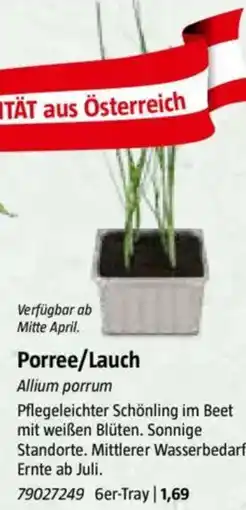 Bauhaus Porree/Lauch Angebot