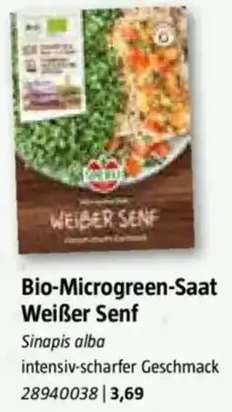 Bauhaus Bio-Microgreen-Saat Weißer Senf Angebot
