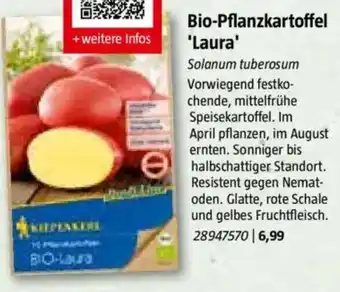 Bauhaus Bio-Pflanzkartoffel 'Laura' Angebot