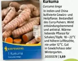 Bauhaus Kurkuma Angebot