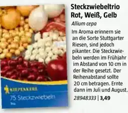 Bauhaus Steckzwiebeltrio Rot, Weiß, Gelb Angebot