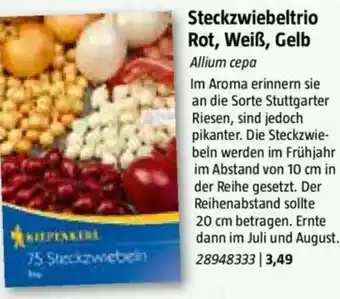 Bauhaus Steckzwiebeltrio Rot, Weiß, Gelb Angebot
