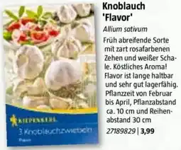 Bauhaus Knoblauch 'Flavor' Angebot