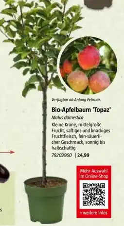 Bauhaus Bio-Apfelbaum 'Topaz' Angebot