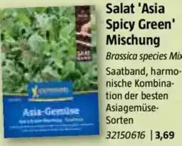 Bauhaus Salat 'Asia Spicy Green' Mischung Angebot