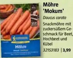 Bauhaus Möhre 'Mokum' Angebot