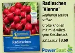 Bauhaus Radieschen 'Vienna' Angebot