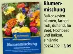 Bauhaus Blumenmischung Angebot