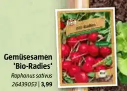 Bauhaus Gemüsesamen 'Bio-Radies' Angebot