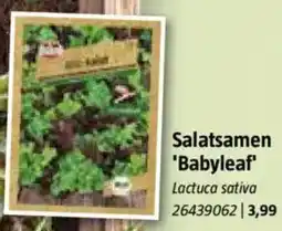 Bauhaus Salatsamen 'Babyleaf' Angebot
