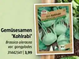 Bauhaus Gemüsesamen 'Kohlrabi' Angebot