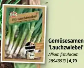 Bauhaus Gemüsesamen 'Lauchzwiebel' Angebot