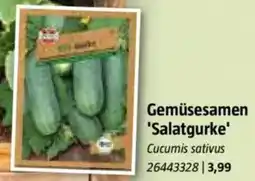 Bauhaus Gemüsesamen 'Salatgurke' Angebot