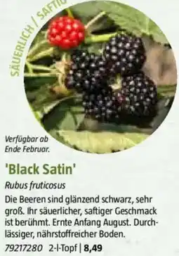 Bauhaus 'Black Satin' Angebot