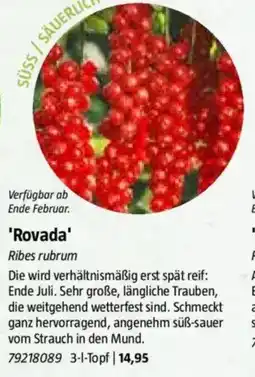 Bauhaus 'Rovada' Angebot