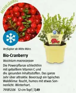Bauhaus Bio-Cranberry Angebot