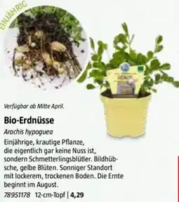 Bauhaus Bio-Erdnüsse Angebot