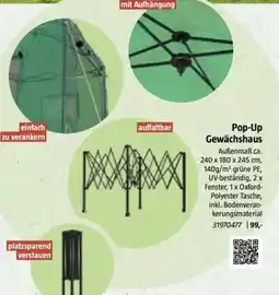 Bauhaus Pop-Up Gewächshaus Angebot