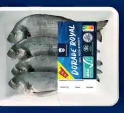 Lidl Fischerstolz Dorade Angebot