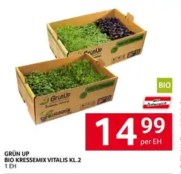 Transgourmet GRÜN UP BIO KRESSEMIX Angebot