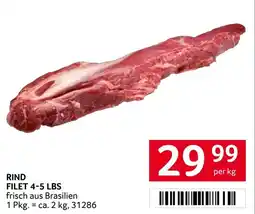 Transgourmet Rind filet Angebot
