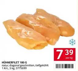 Transgourmet Hühnerfilet Angebot