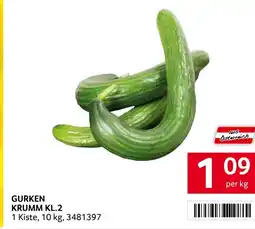 Transgourmet Gurken krumm Angebot
