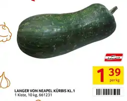 Transgourmet Langer von neapel kürbis Angebot