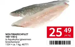 Transgourmet Wolfsbarschfilet Angebot