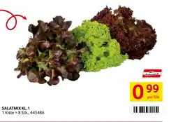 Transgourmet Salatmix Angebot