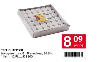 Transgourmet Teelichter xxl Angebot