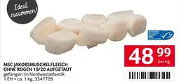 Transgourmet Msc jakobsmuschelfleisch Angebot