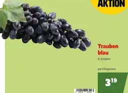 Landmarkt Trauben blau Angebot
