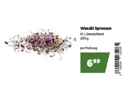 Landmarkt Wasabi Sprossen Angebot