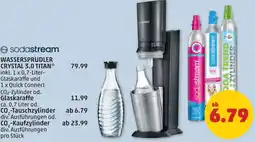 PENNY Wassersprudler crystal 3.0 titan Angebot