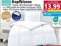 Norma Kopfkissen Angebot