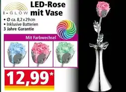 Norma LED-Rose mit Vase Angebot