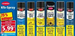 Norma Kfz-Spray Angebot