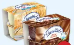 PENNY Landliebe Pudding Angebot