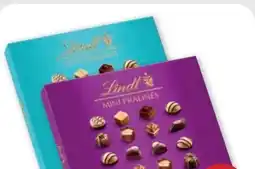 PENNY Lindt Mini Pralinen Angebot