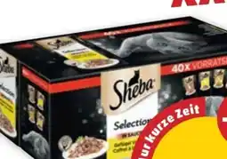 PENNY Sheba Frischebeutel Angebot