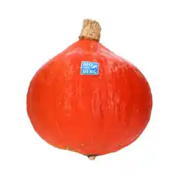 MPreis BIO vom BERG Kürbis Hokkaido MPREIS Angebot